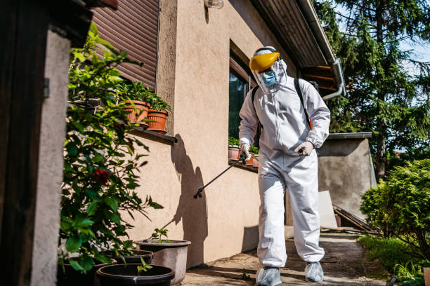 Flea Control Services in El Dorado Springs, MO