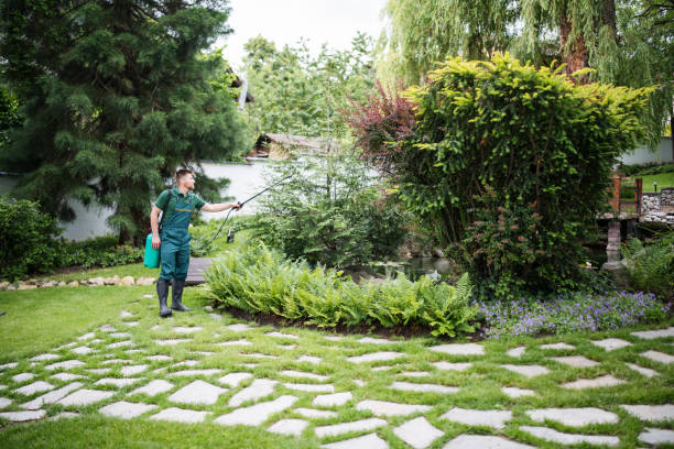 Best Pest Inspection Near Me  in El Dorado Springs, MO
