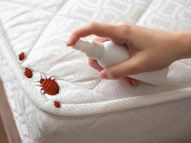 Best Exterminator Services  in El Dorado Springs, MO